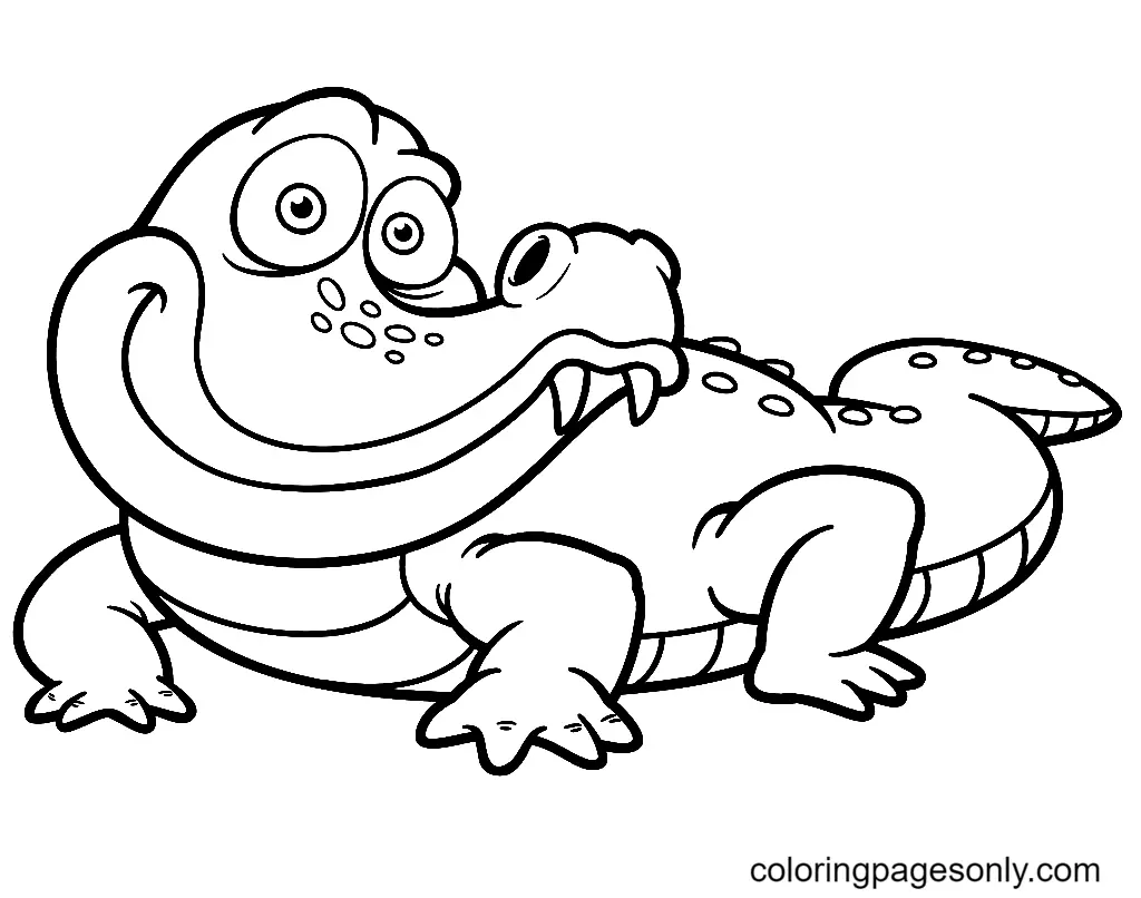 Alligator Coloring Pages