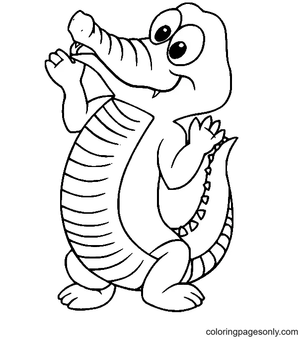 Alligator Coloring Pages