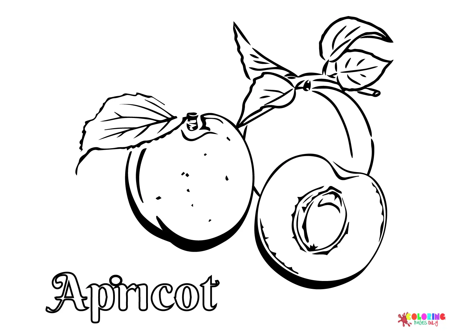 Apricot Coloring Pages