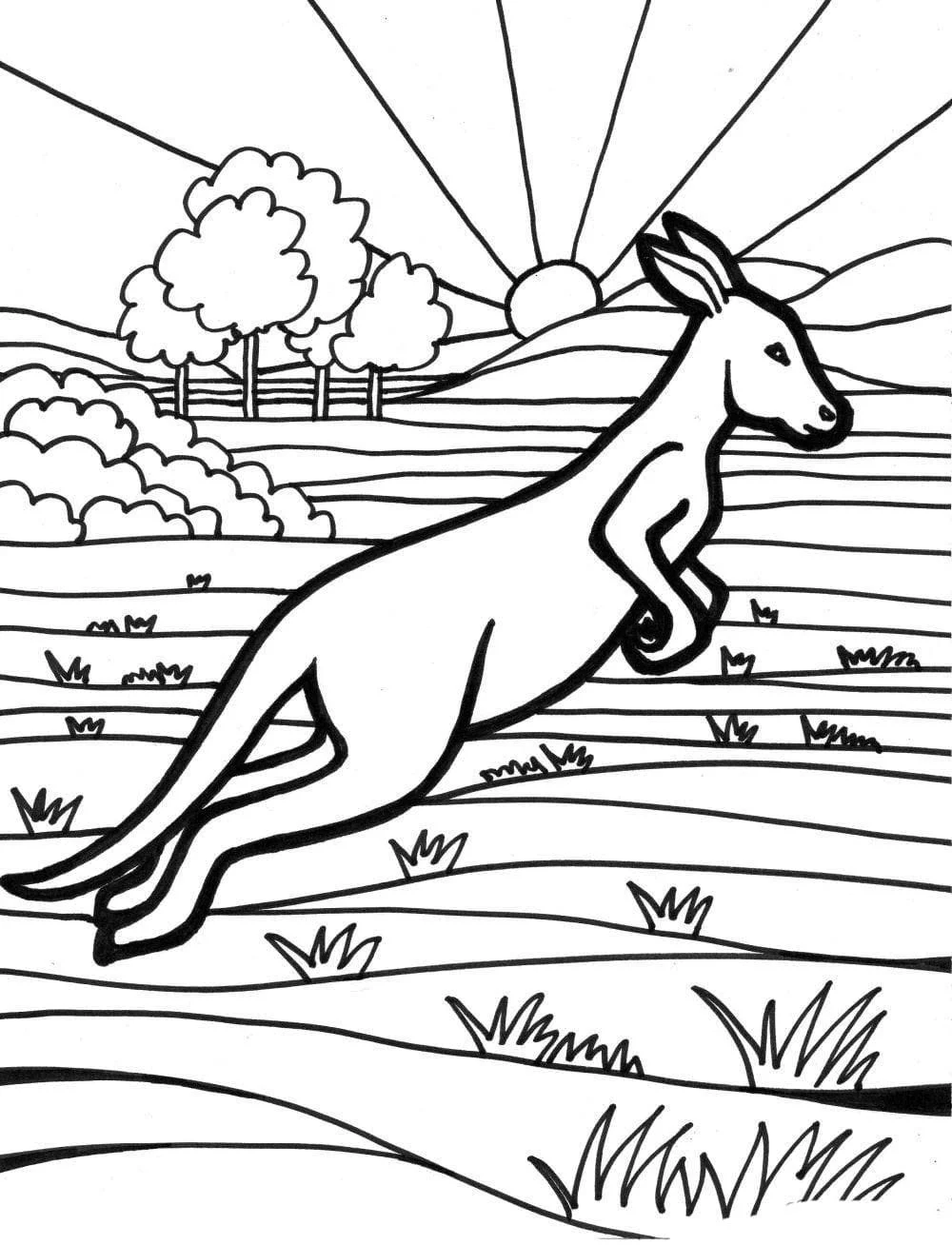 Australia Coloring Pages