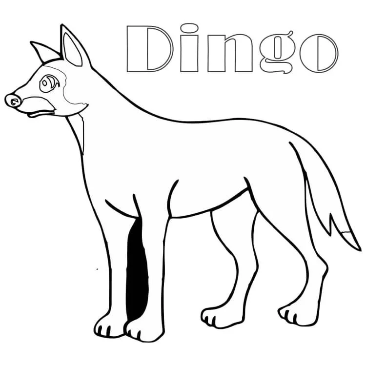 Australian Animals Coloring Pages