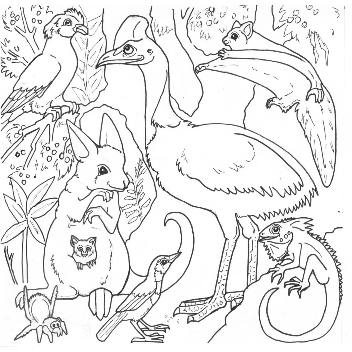 Australian Animals Coloring Pages