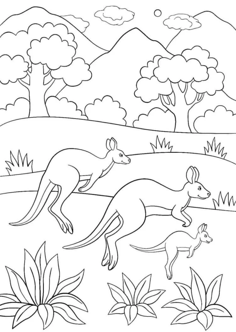 Australian Animals Coloring Pages