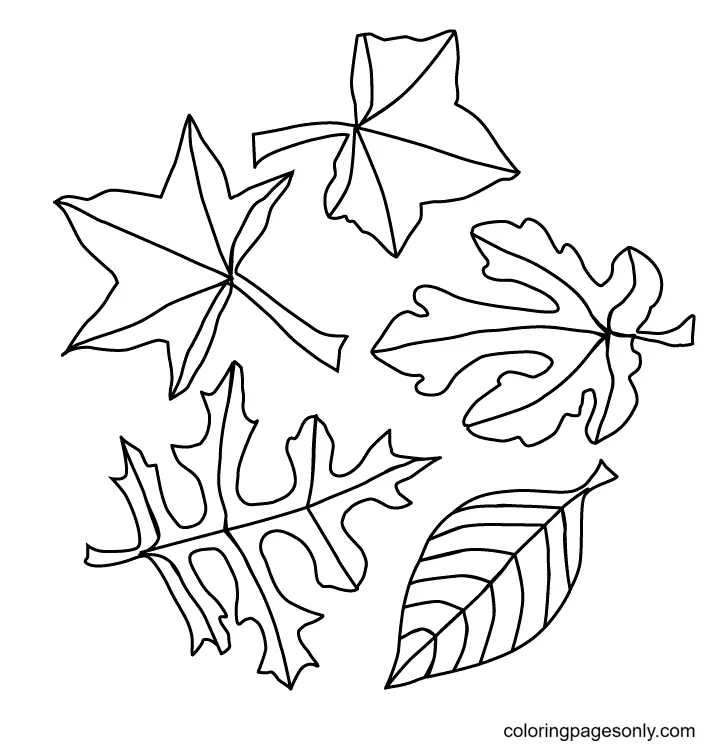 Autumn Leaves Coloring Pages to Print - Free Printable Coloring Pages