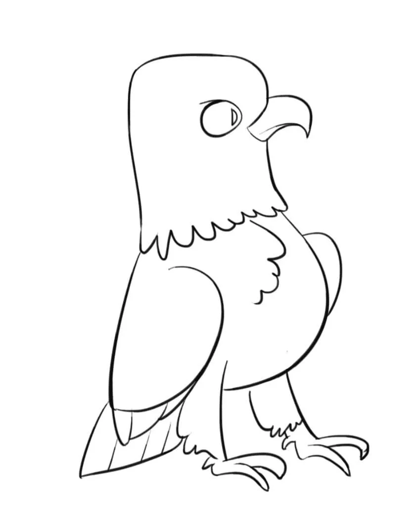 Bald Eagle Coloring Pages