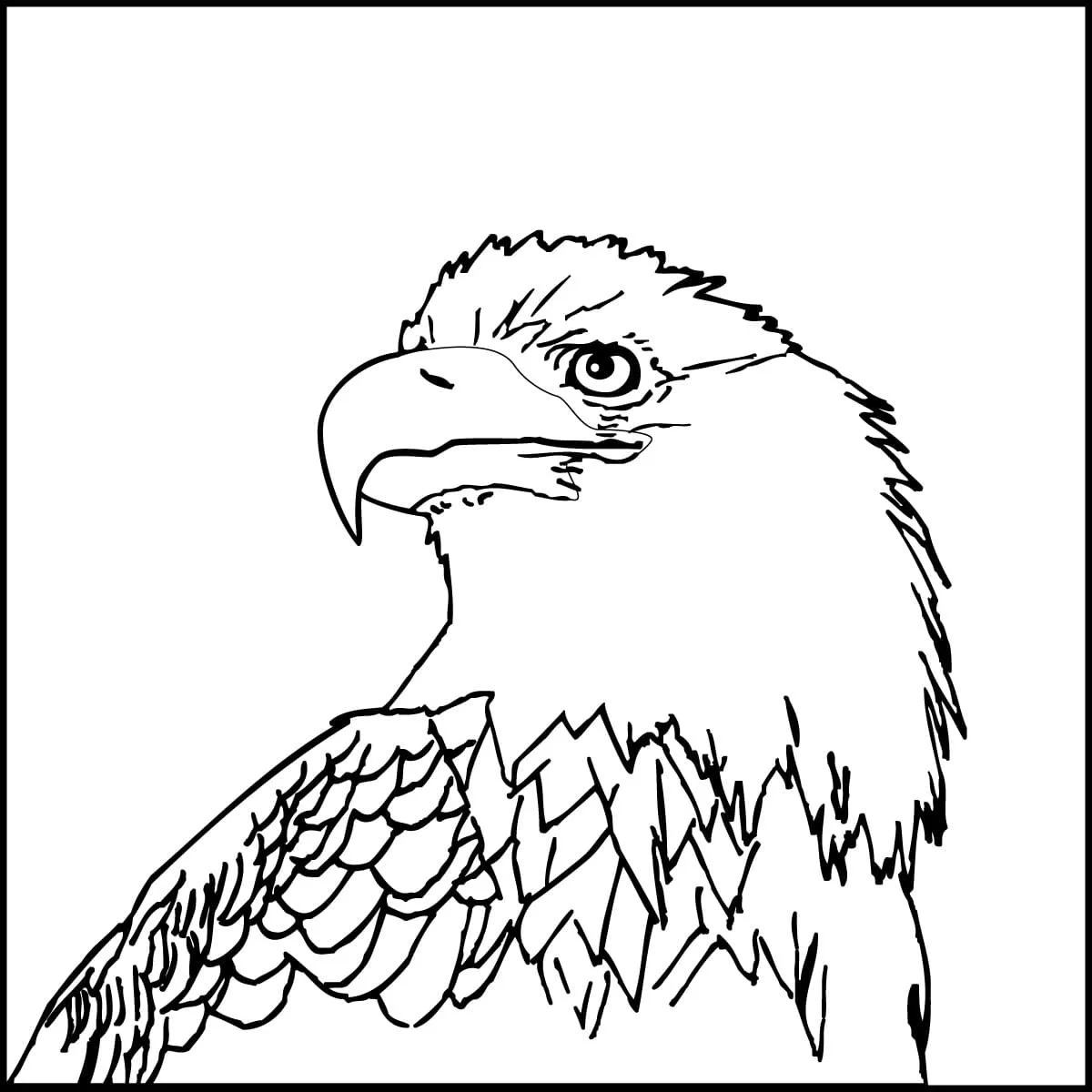 Bald Eagle Coloring Pages