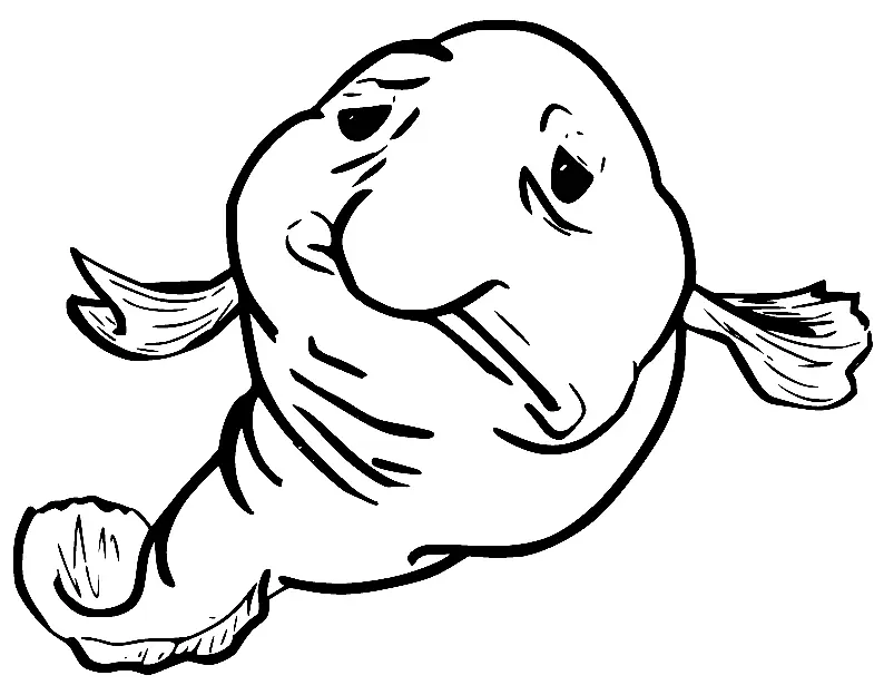 Blobfish Coloring Pages