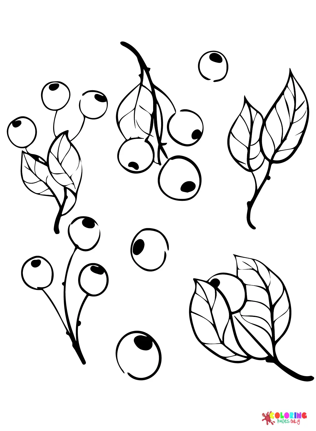 Blueberry Coloring Pages