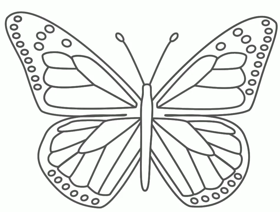 Butterfly Coloring Pages