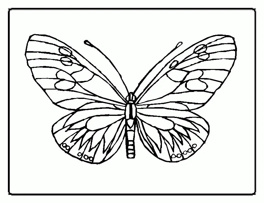 Butterfly Coloring Pages