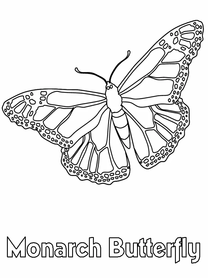 Butterfly Coloring Pages