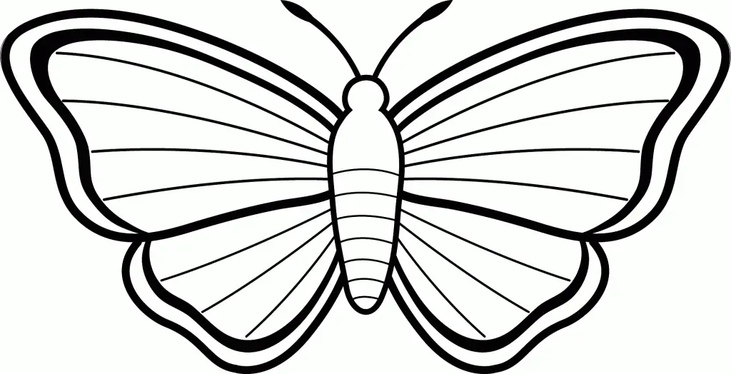 Butterfly Coloring Pages