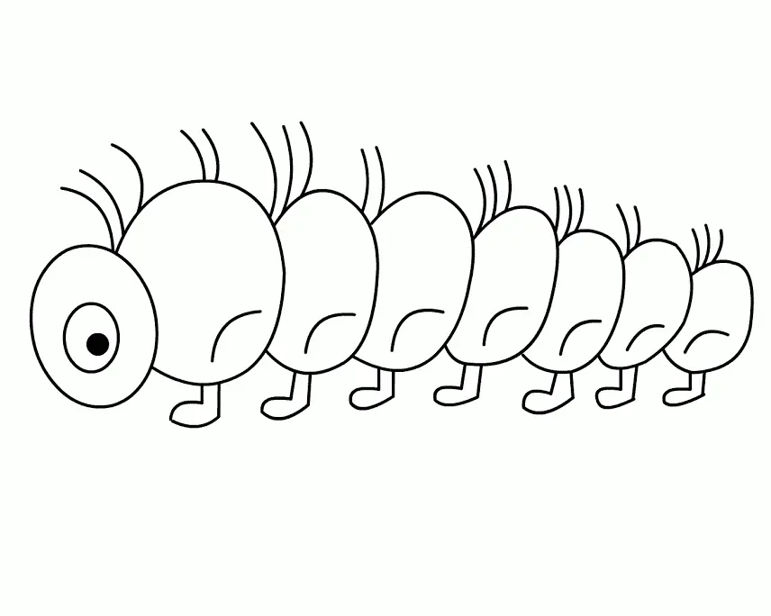 Caterpillar Coloring Pages
