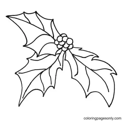 Christmas Holly Coloring Pages