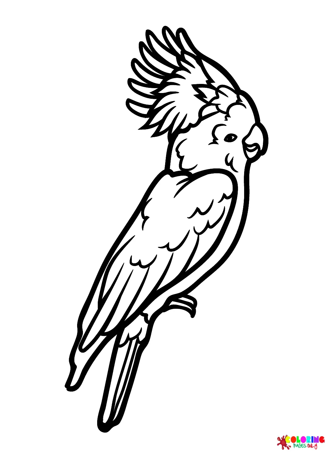 Cockatoo Coloring Pages