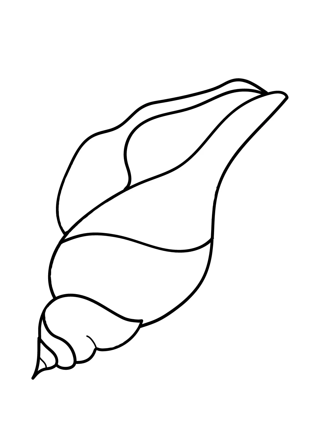 Conch Coloring Pages