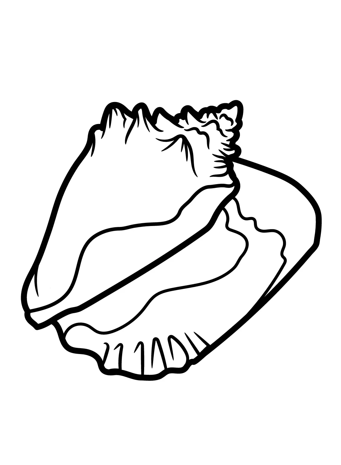 Conch Coloring Pages