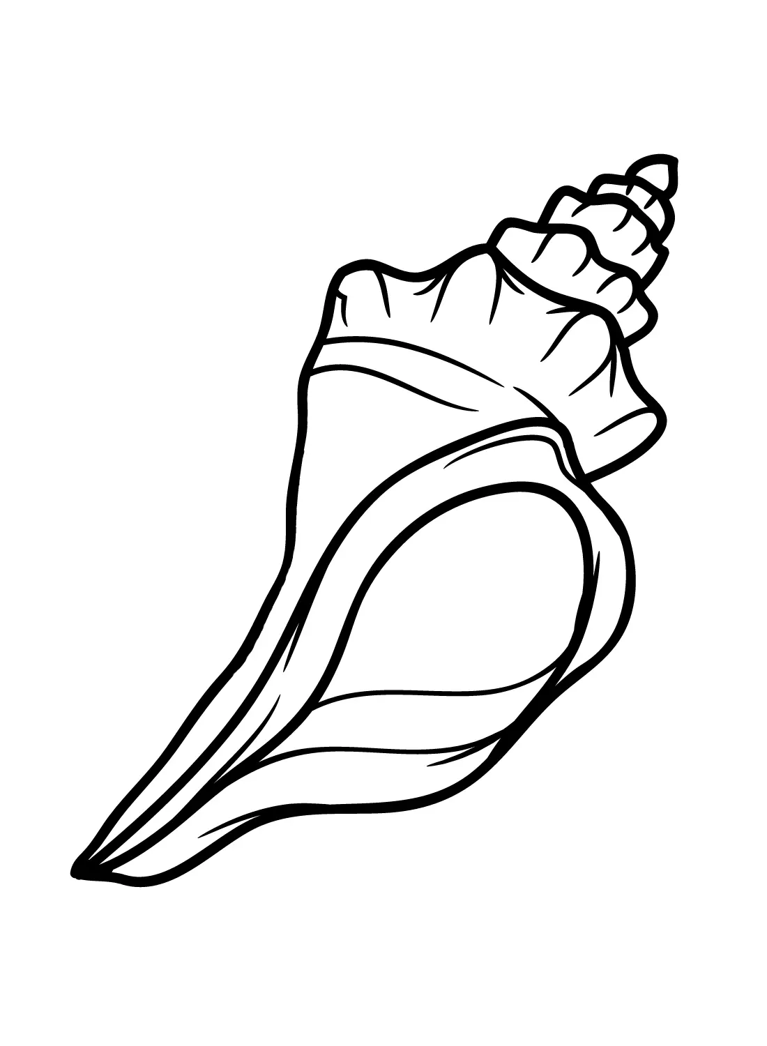 Conch Coloring Pages