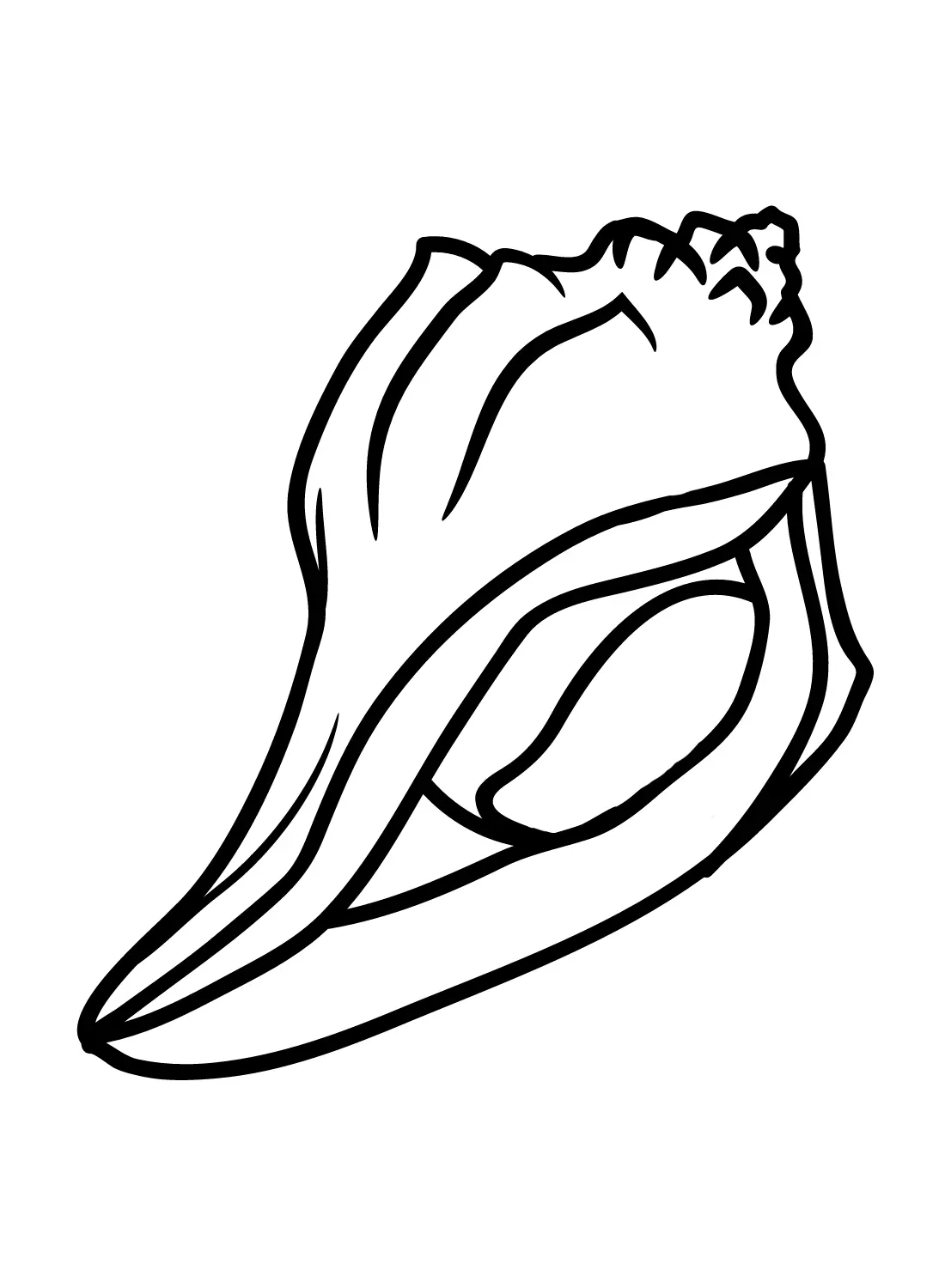 Conch Coloring Pages