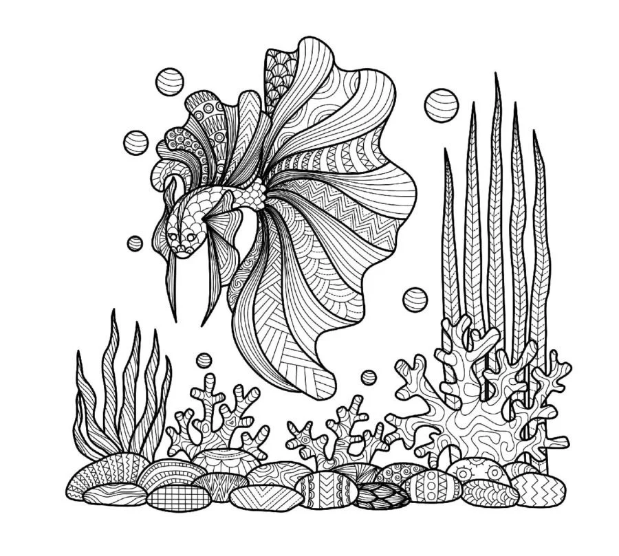 Coral Reef Coloring Pages