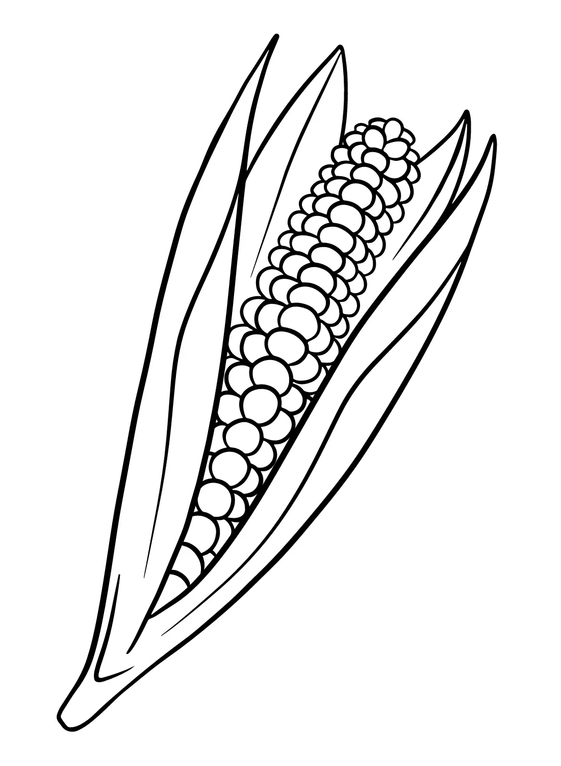 Corn Coloring Pages