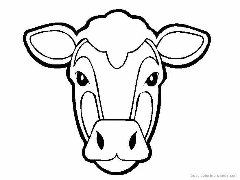 Cow Coloring Pages