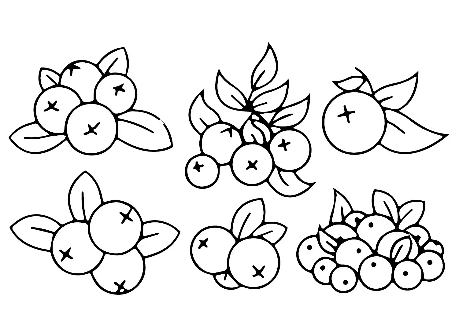 Cranberry Coloring Pages