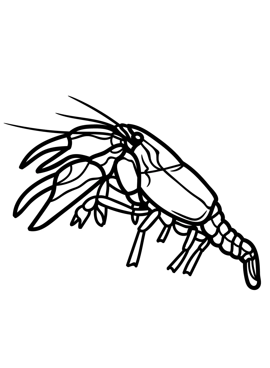 Crawfish Coloring Pages