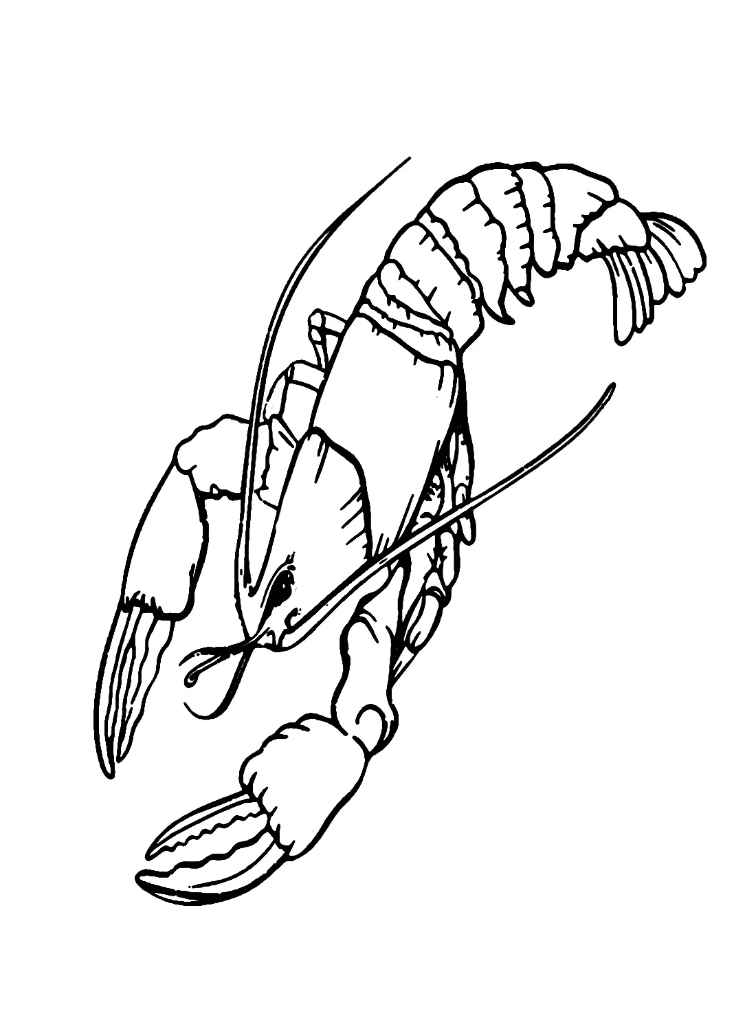 Crawfish Coloring Pages