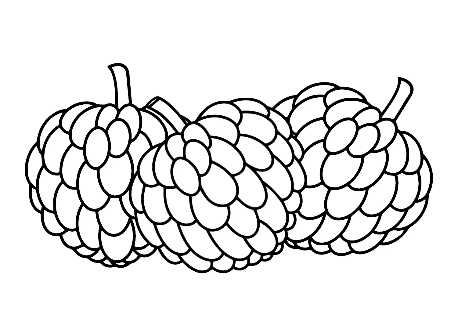 Custard Apple Coloring Pages