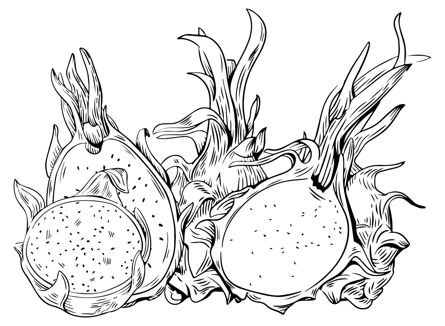 Dragon Fruit Coloring Pages