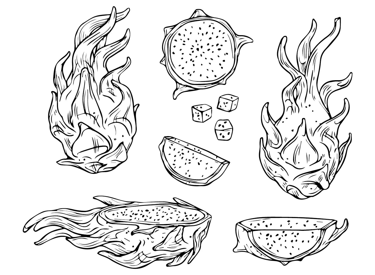 Dragon Fruit Coloring Pages