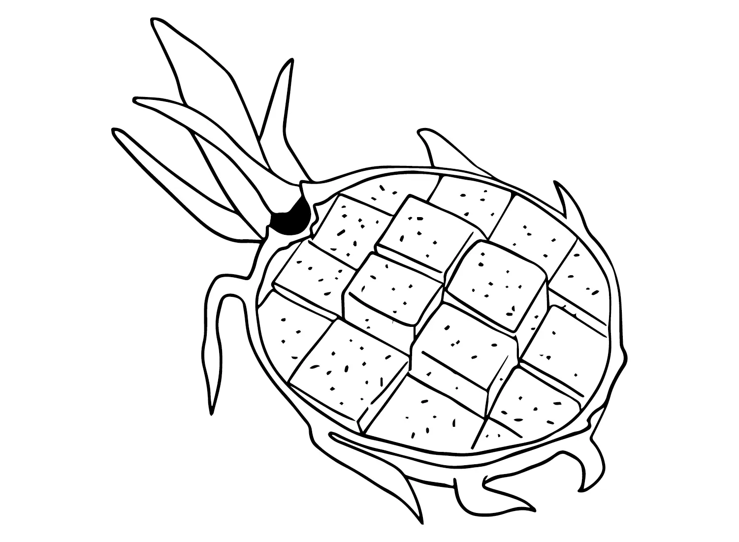 Dragon Fruit Coloring Pages