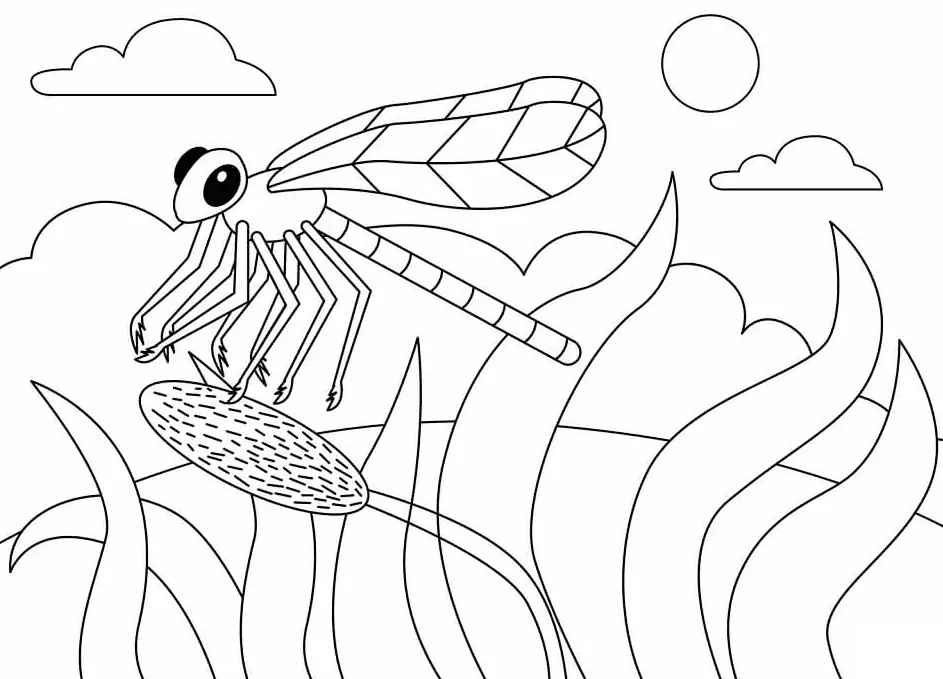 Dragonfly Coloring Pages