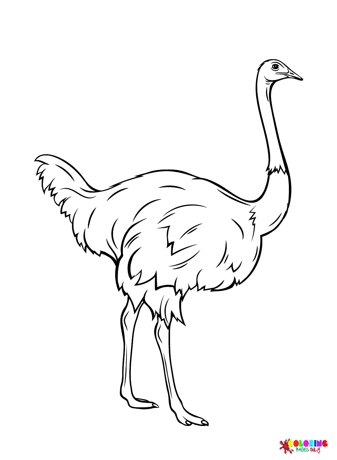 Emu Coloring Pages