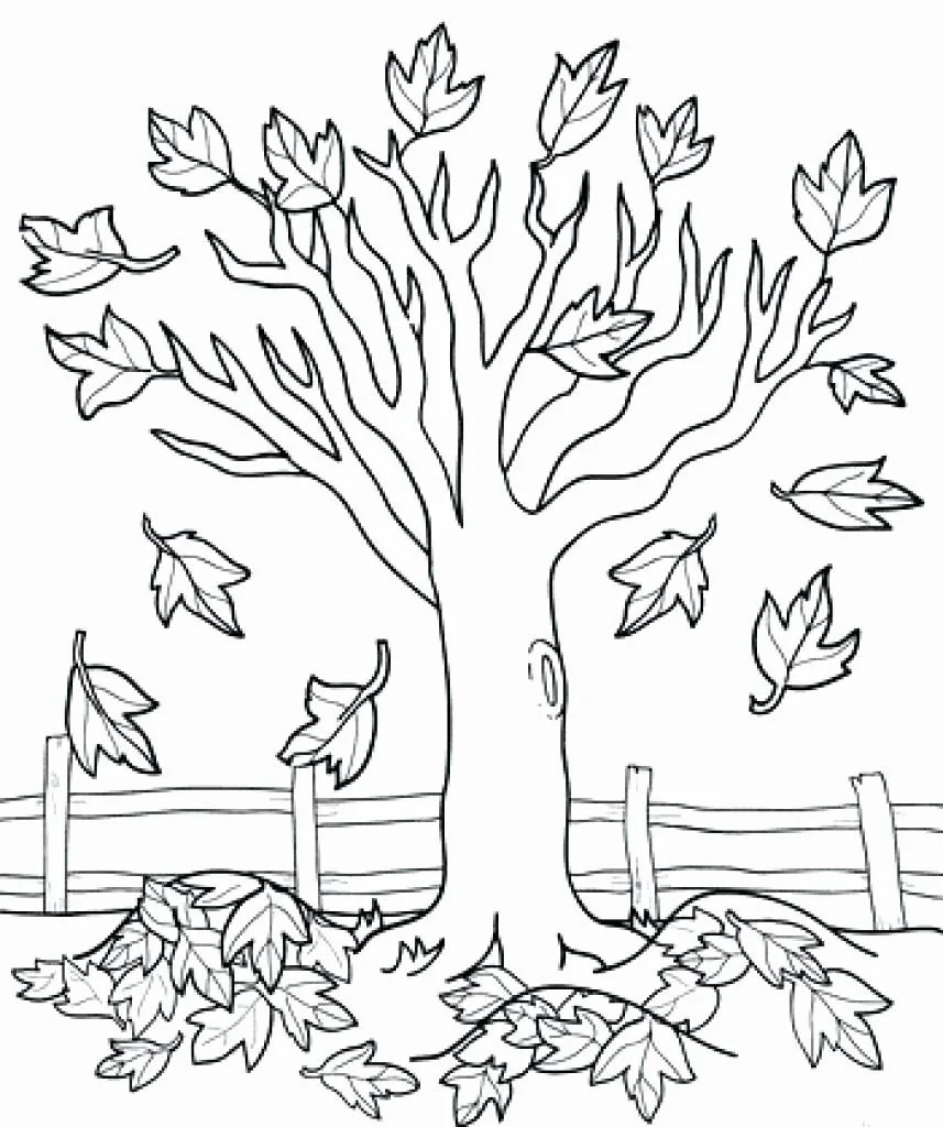 Fall Trees Coloring Pages
