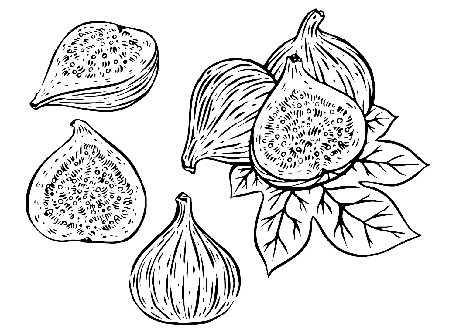Figs Coloring Pages