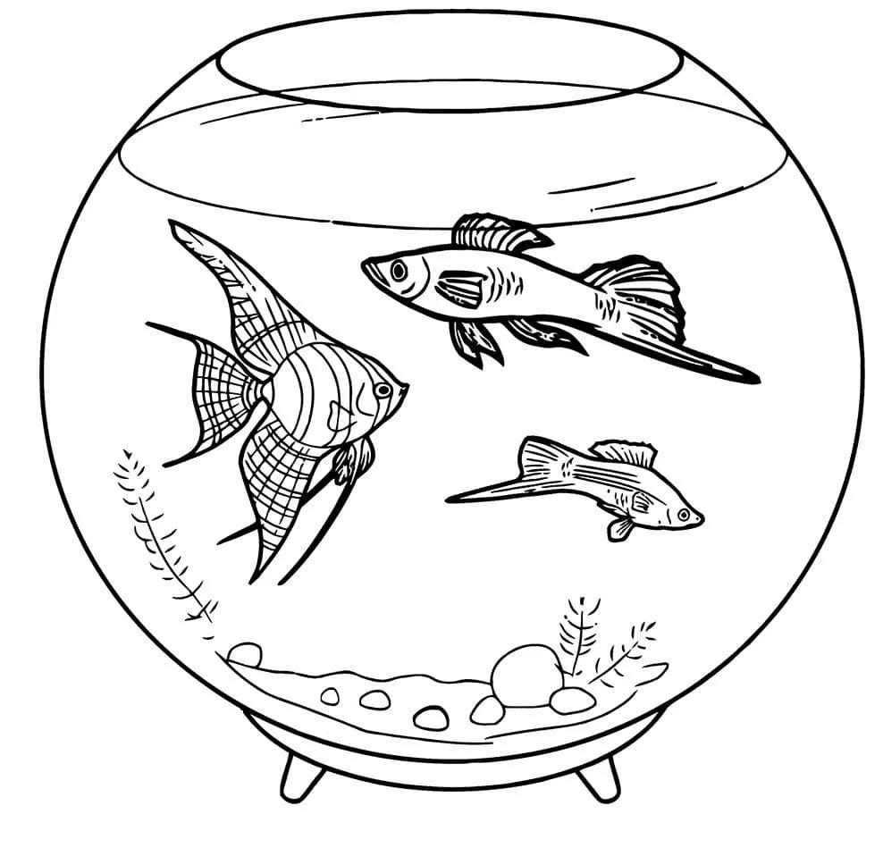 Fish Bowl Coloring Pages