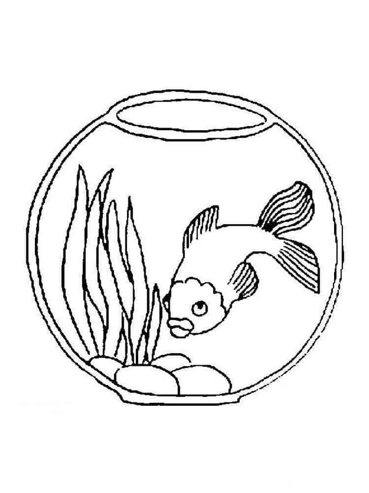 Fish Bowl Coloring Pages