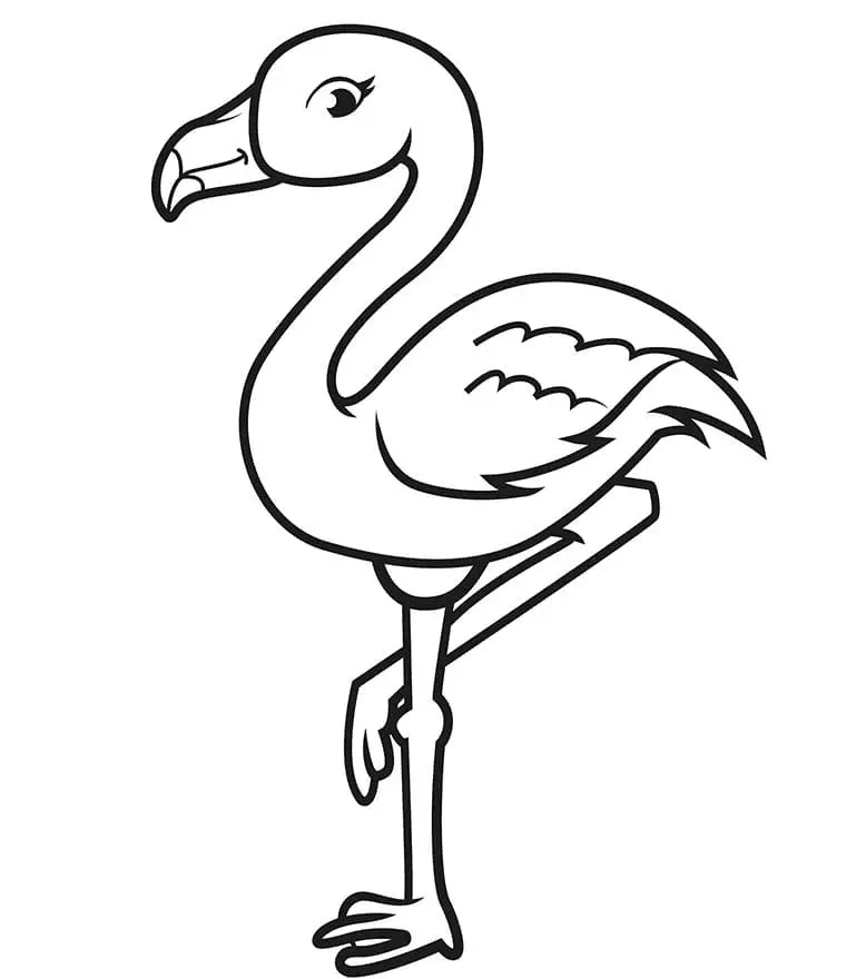 Flamingo Coloring Pages