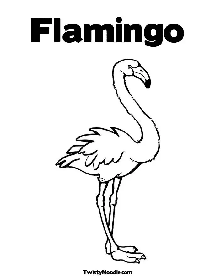 Flamingo Coloring Pages