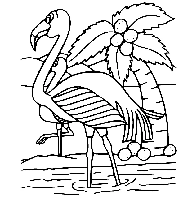 Flamingo Coloring Pages