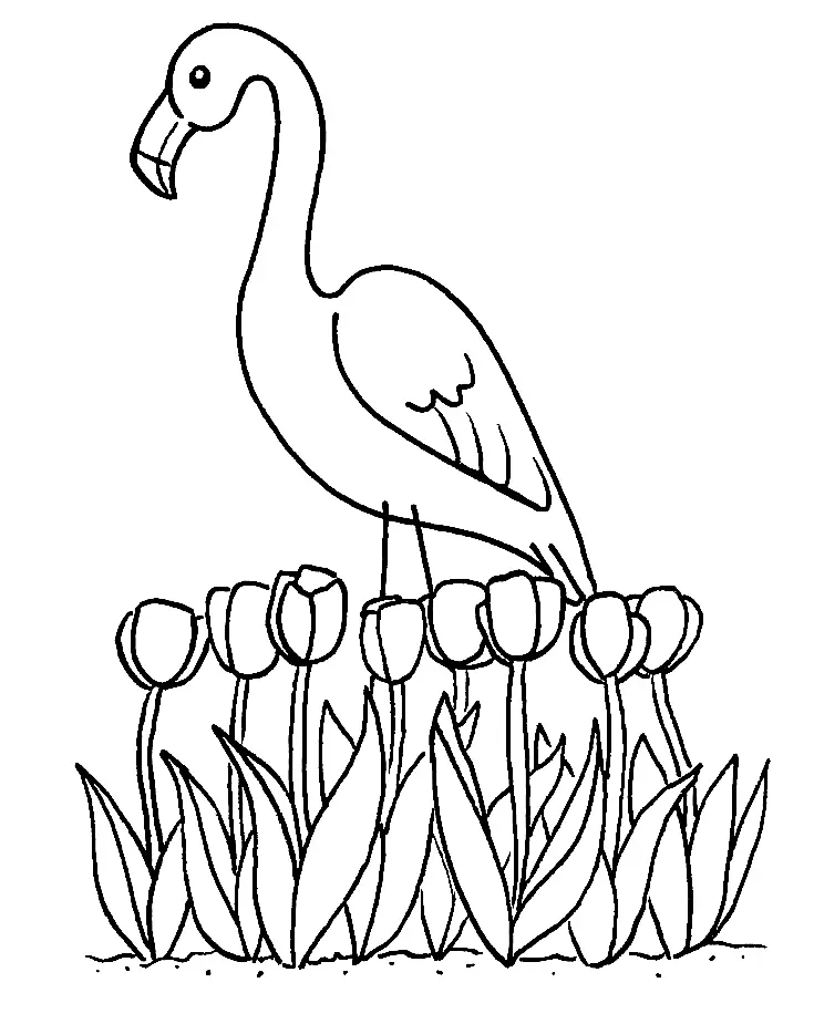 Flamingo Coloring Pages