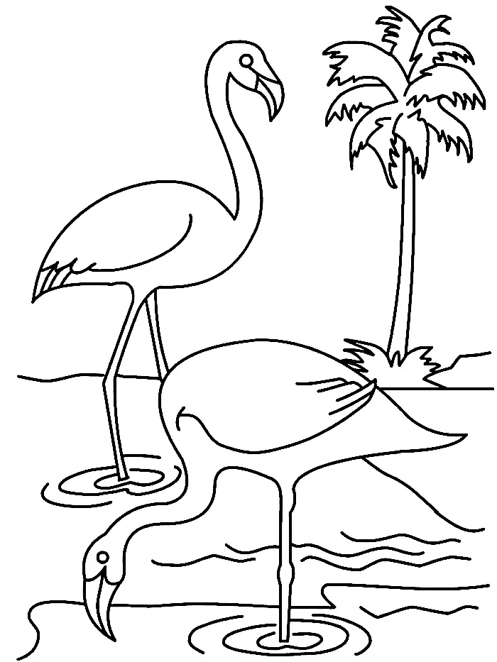 Flamingo Coloring Pages