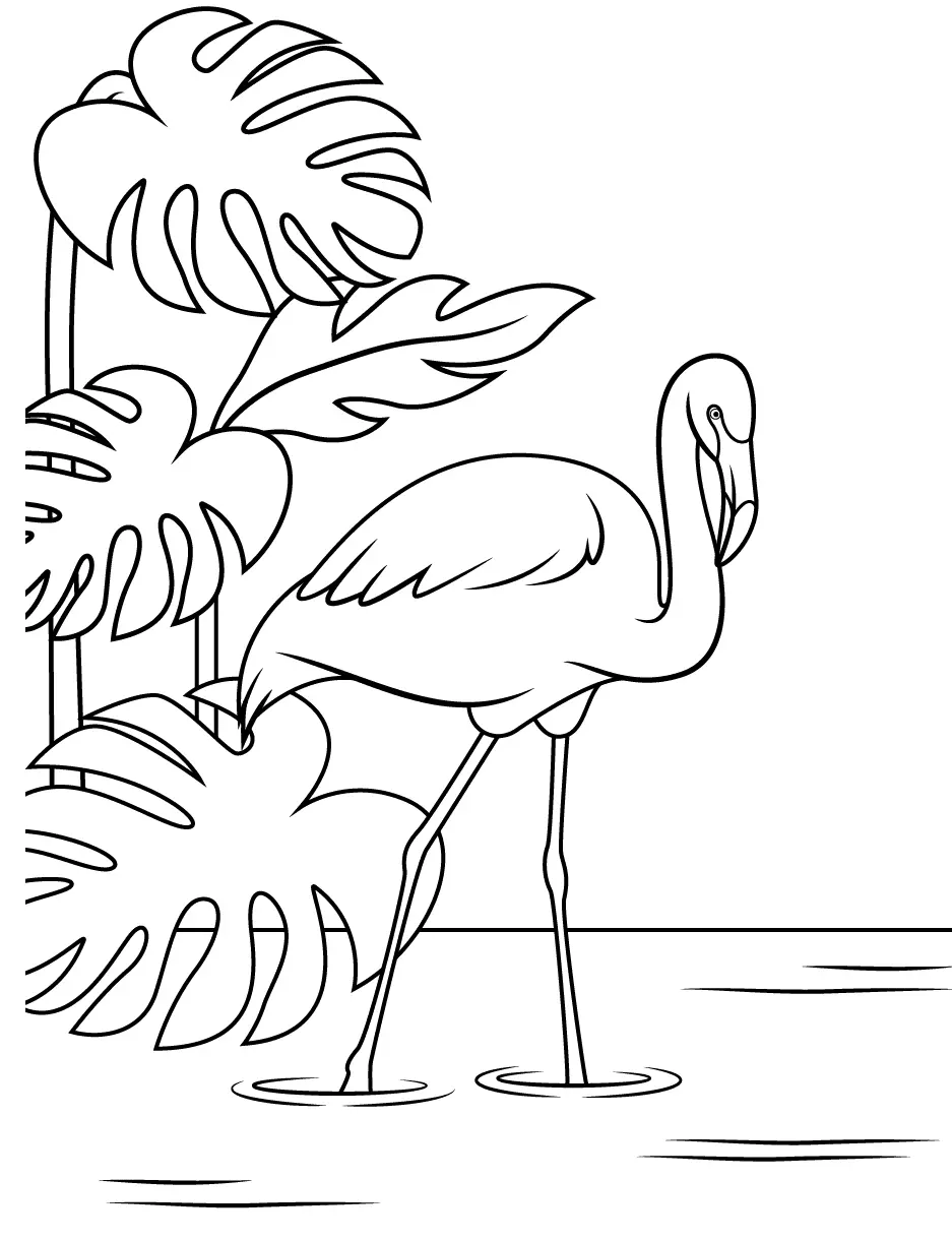 Flamingo Coloring Pages