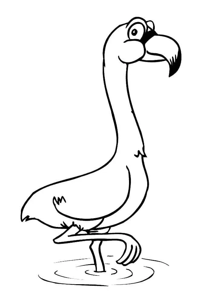 Flamingo Coloring Pages