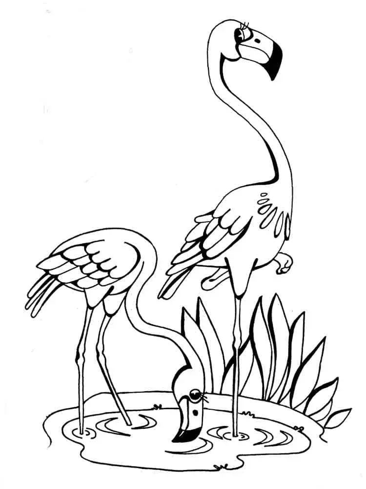 Flamingo Coloring Pages