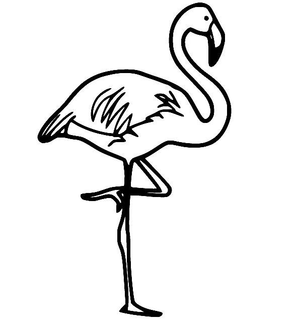 Flamingo Coloring Pages