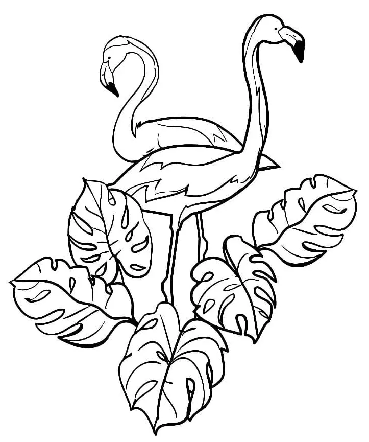 Flamingo Coloring Pages