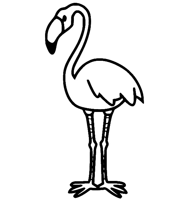 Flamingo Coloring Pages